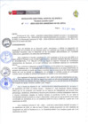 Vista preliminar de documento Nº 418-2023-GOB.REG.AMAZONAS-HA-GLL-B-D.E.