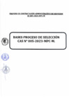 Vista preliminar de documento BASES