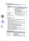 Vista preliminar de documento PERFIL DE PUESTO