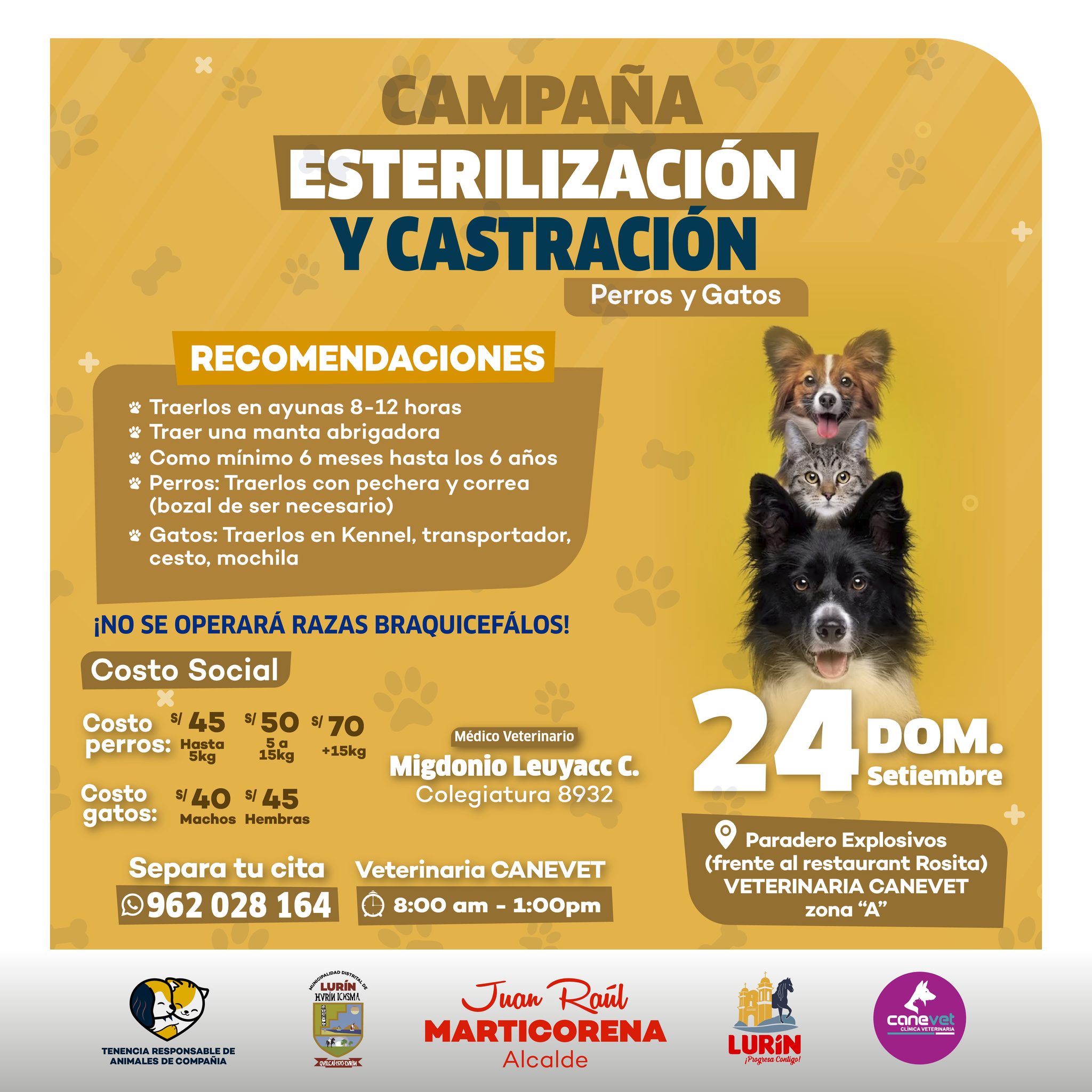 Imagen Institucional