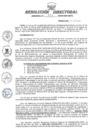 Vista preliminar de documento RESOLUCION DIRECTORAL REGIONAL N° 224-2023-GRU-DRTC