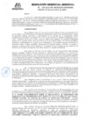 Vista preliminar de documento RGR GRRNGMA N° 039-2023