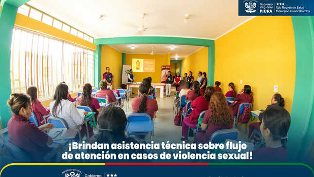 Brindas asistencia técnica sobre flujo de atención en casos de violencia sexual 
