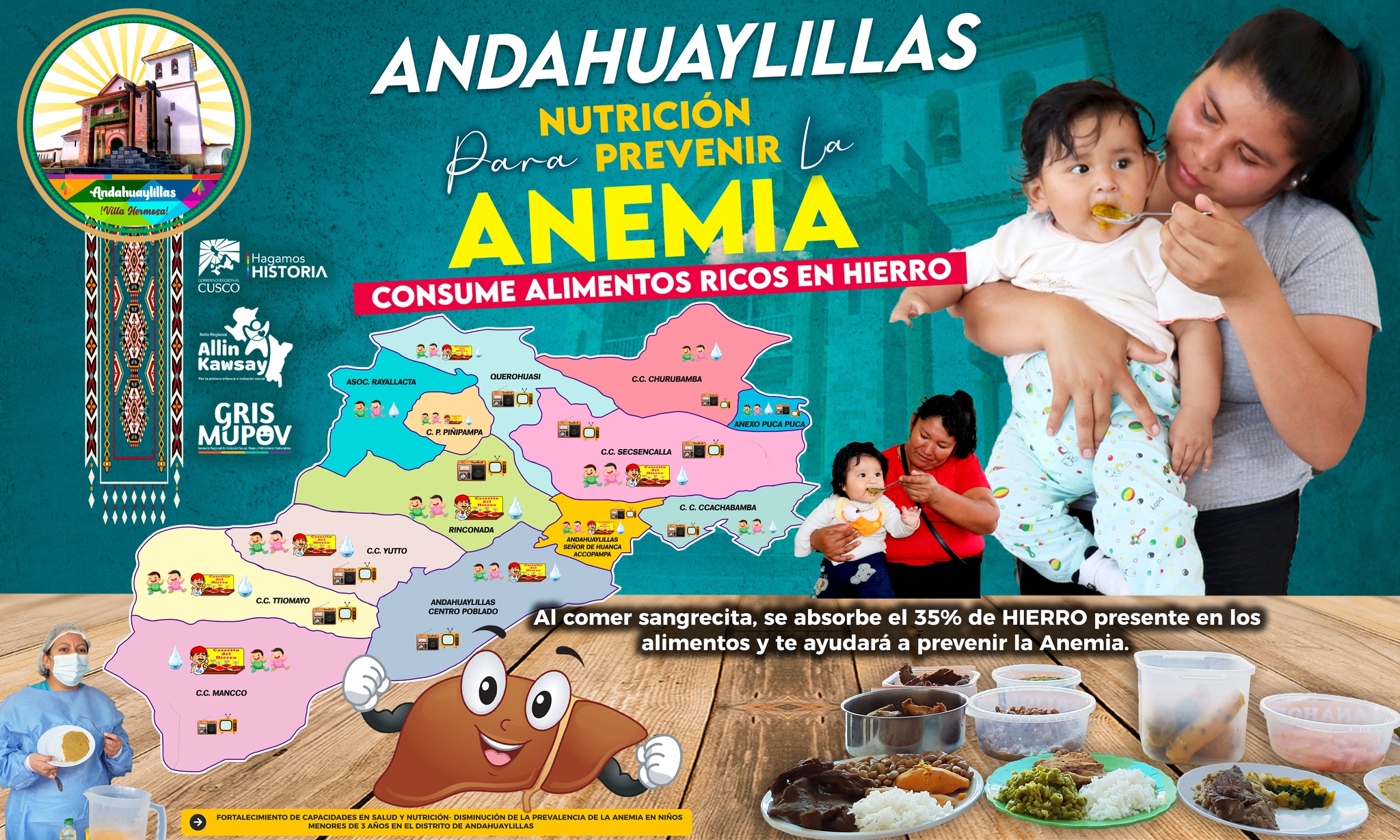 Informacion del programa Allincausay