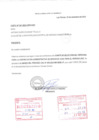 Vista preliminar de documento Bases Proceso CAS VI-2023