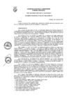 Vista preliminar de documento Acuerdo Regional