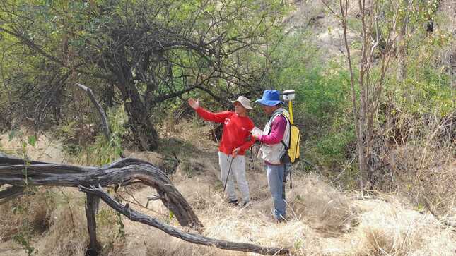 Proyecto Catastro viene promoviendo la titulación de predios rurales en el sur de la región