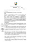 Vista preliminar de documento Ordenanza N° 687-MSS