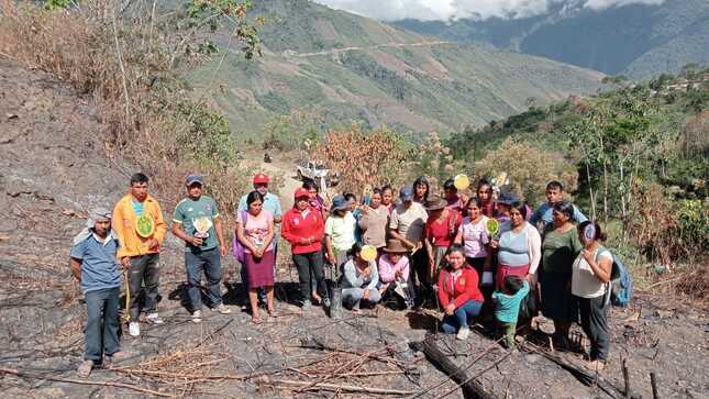 DRA Ayacucho impulsa el manejo integrado de las plagas en cítricos y paltas en Huanta y La Mar