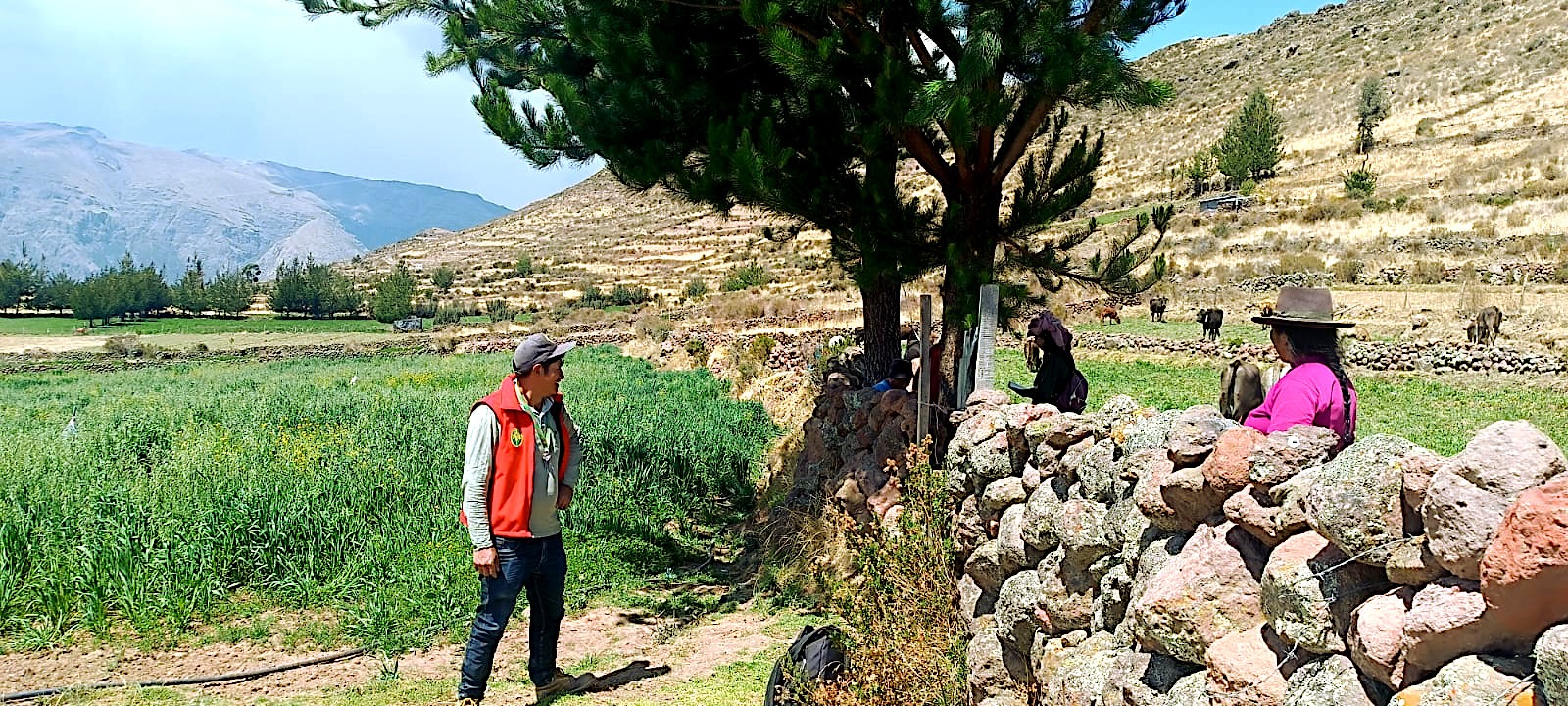 Preparan terrenos para la instalación de pastos y forrajes