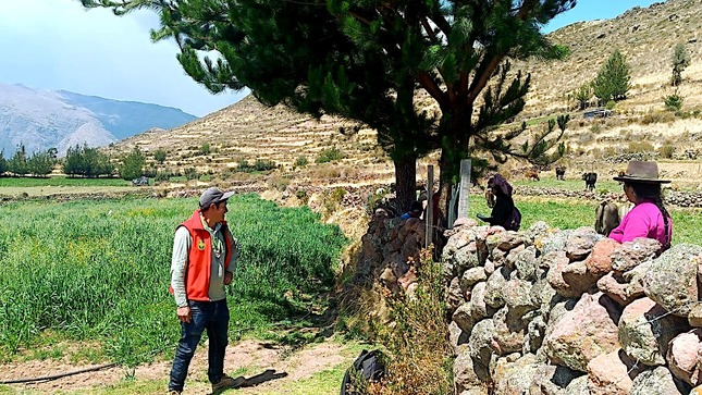 Preparan terrenos para la instalación de pastos y forrajes 