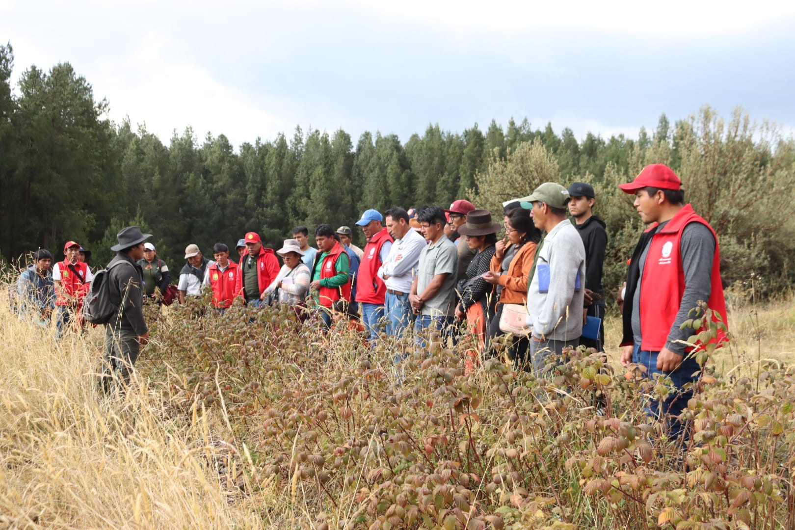 Beneficiarios y equipo técnico del proyecto Forestal Fajardo realizaron una exitosa pasantía