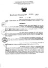 Vista preliminar de documento RESOLUCION DIRECTORAL N° 007915-2023-GR.LAMB/GRED-UGEL.CHIC