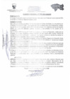 Vista preliminar de documento ACUERDO REGIONAL    198