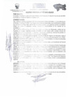 Vista preliminar de documento ACUERDO REGIONAL    197