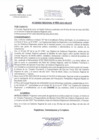 Vista preliminar de documento ACUERDO REGIONAL    95