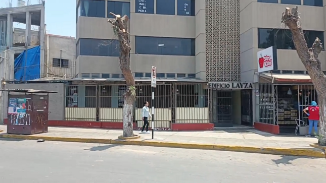 Para evitar que el follaje de las ramas tape su local, el conductor de un establecimiento comercial habría realizado una poda drástica e indiscriminada a dos árboles de molle en el centro histórico de Trujillo.