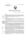 Vista preliminar de documento R.D. 1332-2023