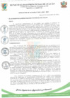Vista preliminar de documento N°265 RESOLUCION DE ALCALDIA