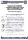 Vista preliminar de documento Ordenanza Municipal