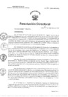 Vista preliminar de documento RD N°  311-2023-HNCH-DG