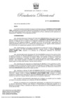 Vista preliminar de documento RD171