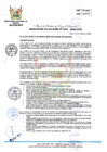 Vista preliminar de documento RA 387-2023-MPHH