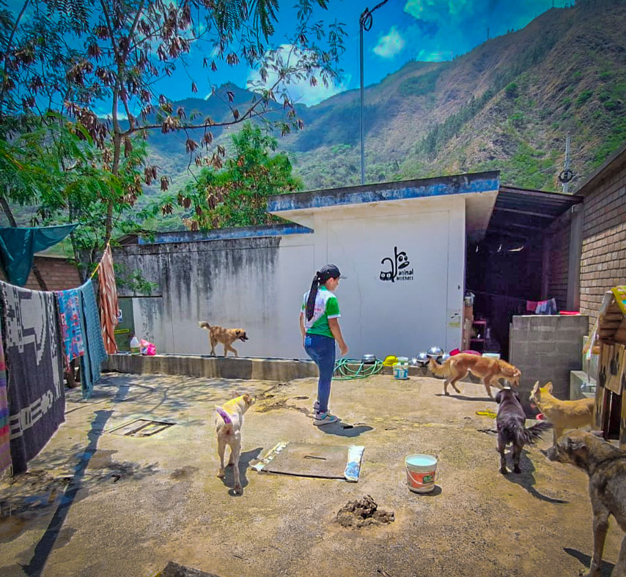 Regidora Milagros Benito y el gerente de recursos naturales realizaron una visita al refugio Animal Brothers