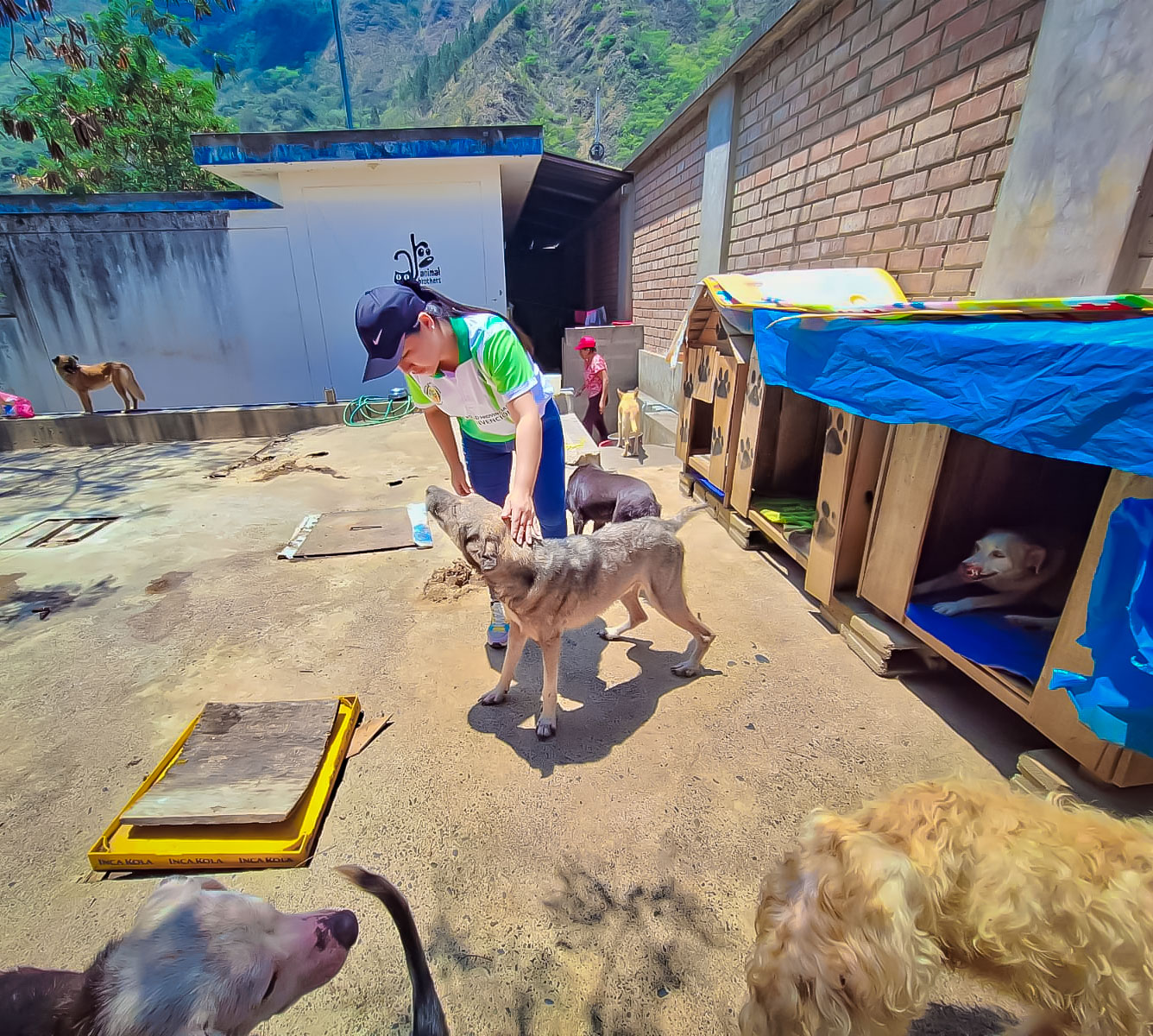Regidora Milagros Benito y el gerente de recursos naturales realizaron una visita al refugio Animal Brothers