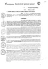 Vista preliminar de documento RGG_N_222_2020_GG_PERPG_GR.moq