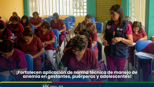 Fortalecen aplicación de norma técnica de manejo de anemia.