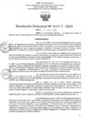 Vista preliminar de documento RD Nº 0073 