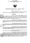 Vista preliminar de documento RD Nº 0077 
