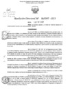 Vista preliminar de documento RD Nº 0080 