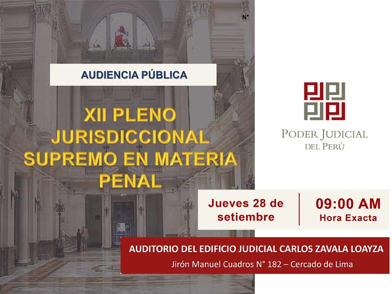 XII-PLENO-JURISDICCIONAL-SUPREMO-EN-MATERIA-PENAL