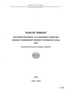 Vista preliminar de documento RESOLUCION_2017_4