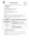 Vista preliminar de documento Convocatoria CAS