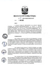 Vista preliminar de documento RD 027-2020