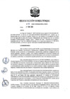 Vista preliminar de documento RD 034-2020
