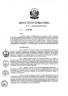 Vista preliminar de documento RD 036-2020