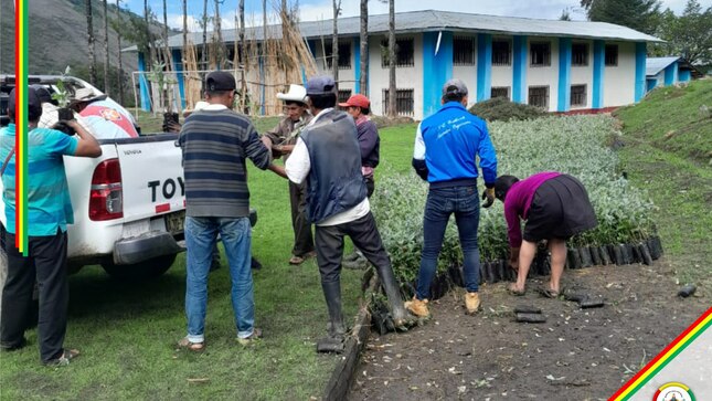 Reforestación de Catillambi