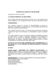 Vista preliminar de documento AC-006-2007-MDJM