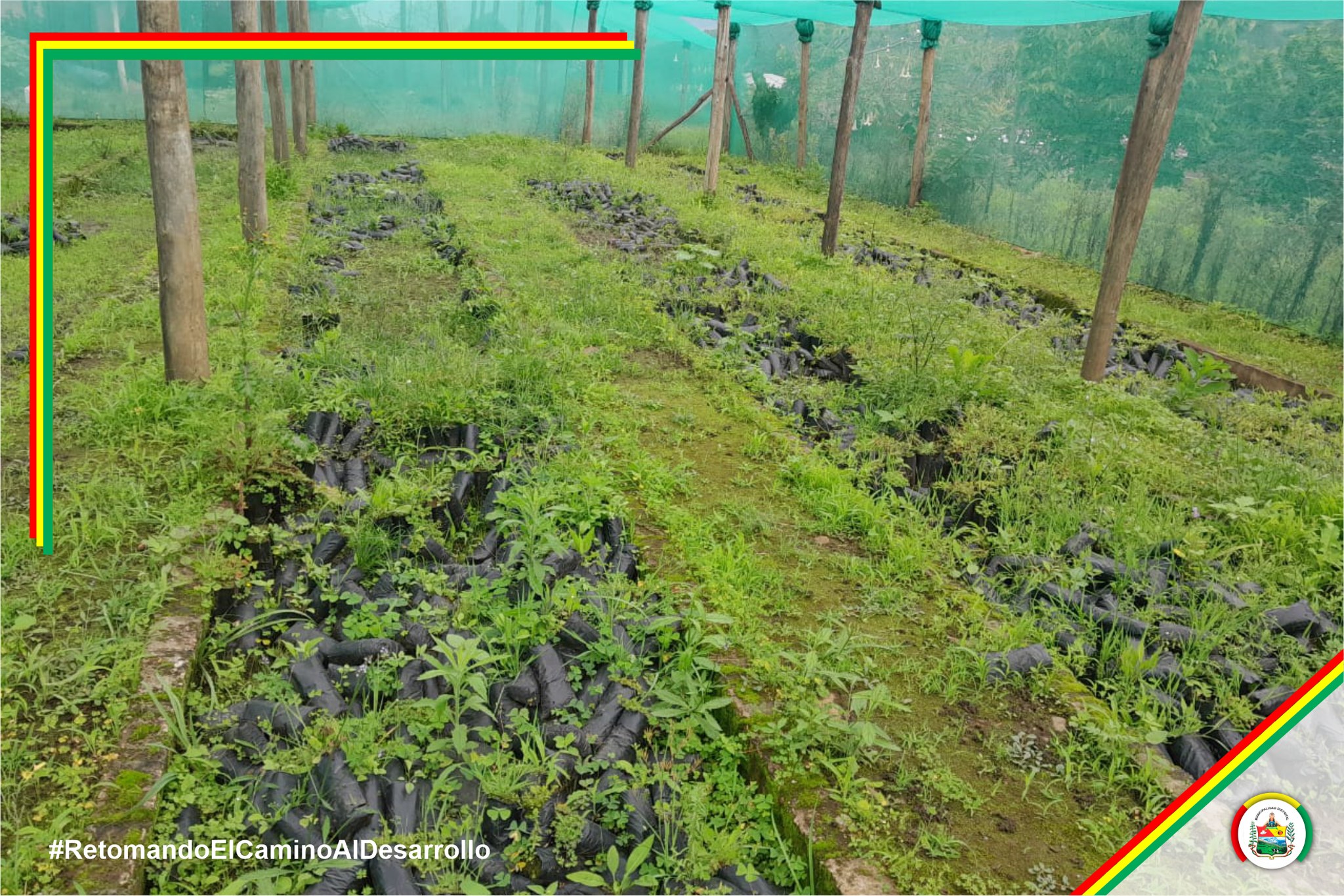 Rehabilitación del Vivero Municipal