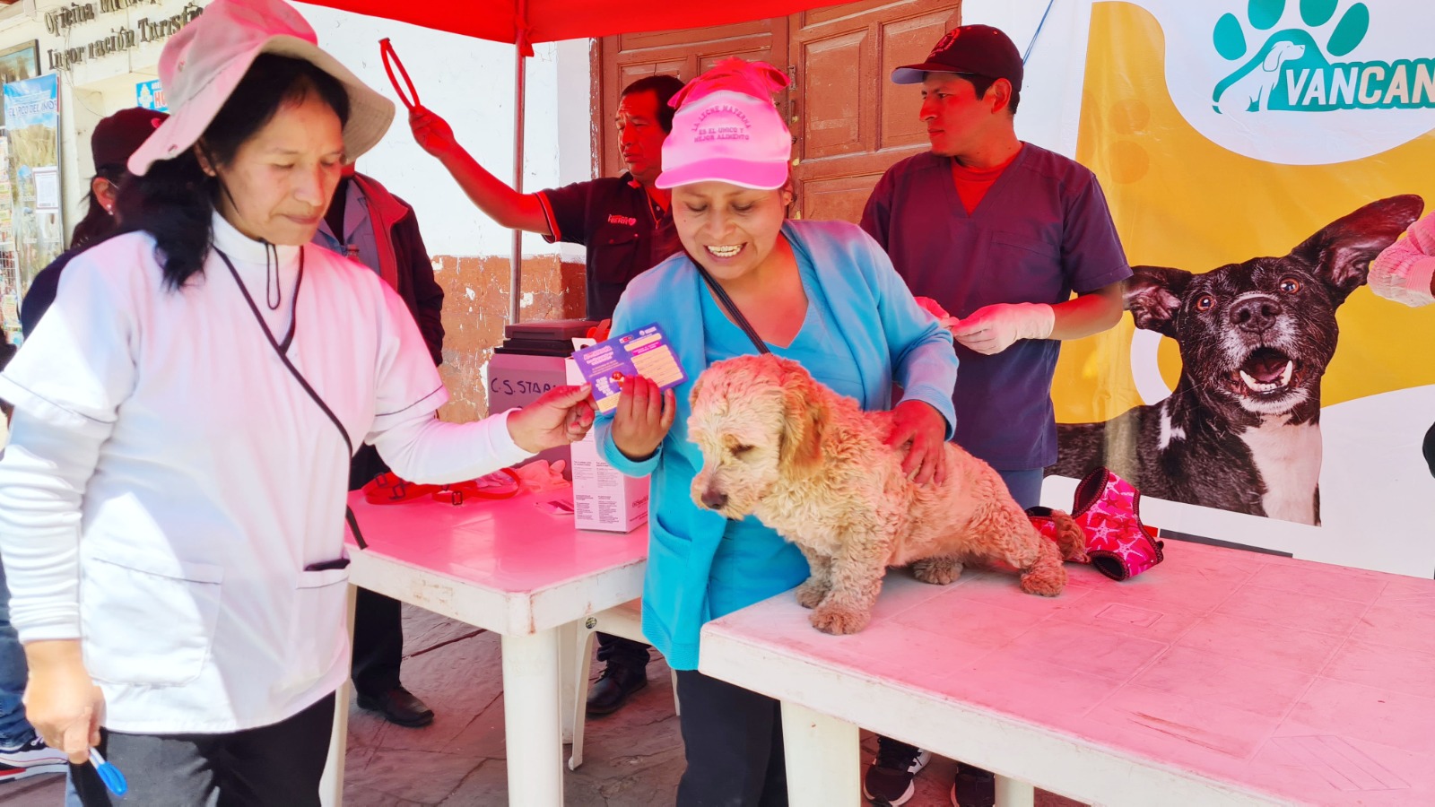 La rabia es mortal, pero es prevenible
