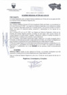 Vista preliminar de documento ACUERDO REGIONAL    234