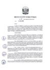 Vista preliminar de documento RD 009-2020