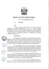 Vista preliminar de documento RD 030-2020