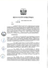 Vista preliminar de documento RD 031-2020