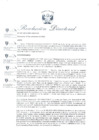 Vista preliminar de documento R.D. 315-2023-INPE-ORCHYO