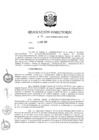 Vista preliminar de documento RD 039-2020